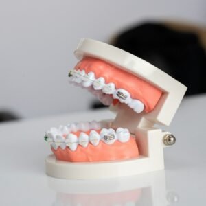 Full Arch Training (Dentists)